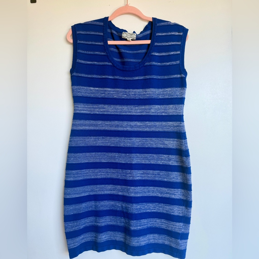 Pink Rose Navy and Gray Striped Mini Dress
